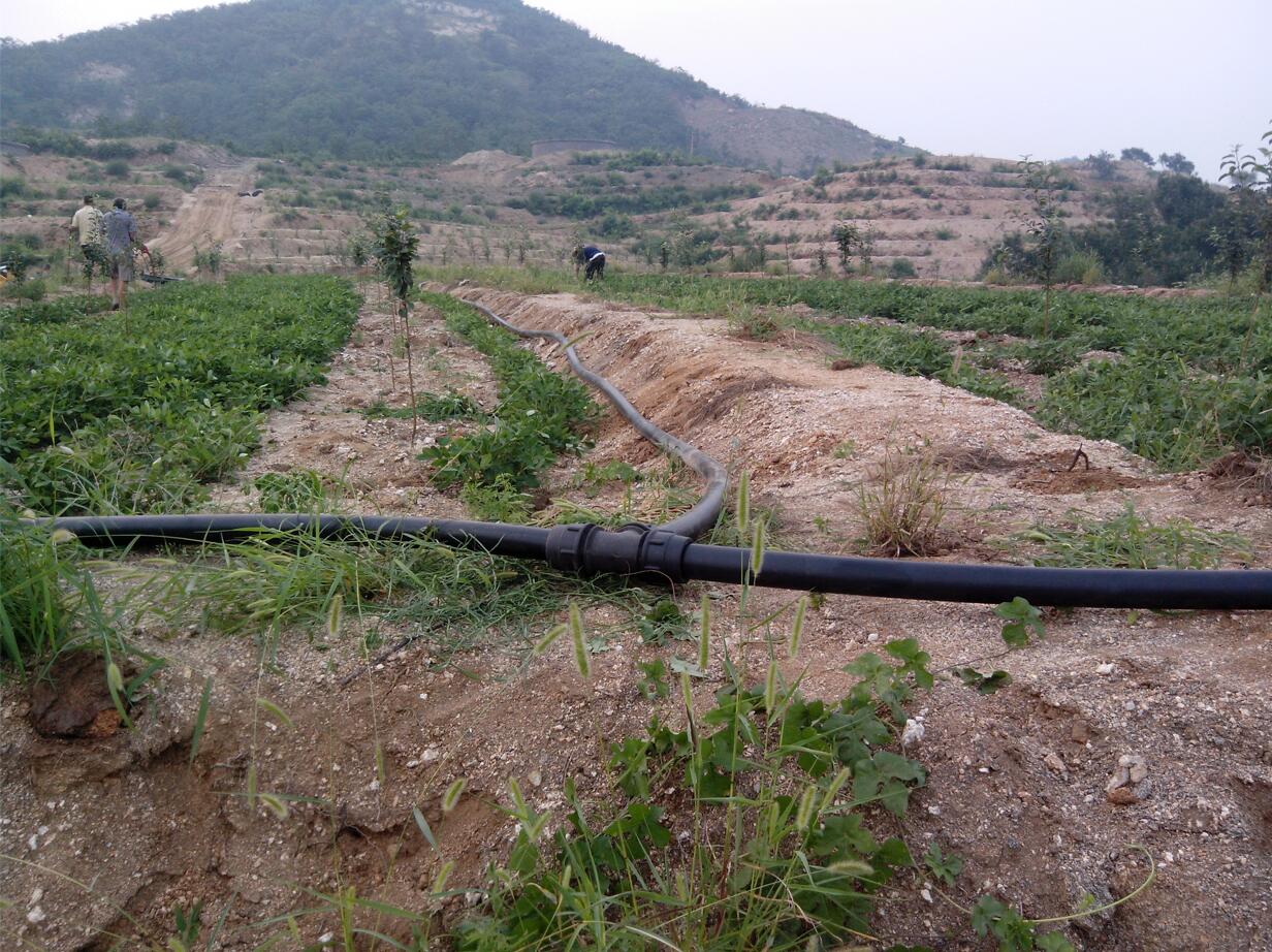 搜了网为您找到39条pe管直接的相关产品参数信息